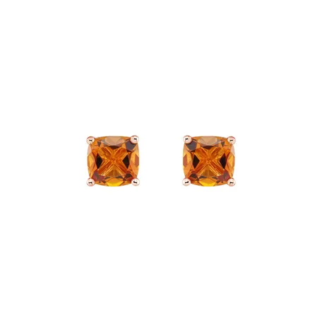 Earrings  with Citrine Avery