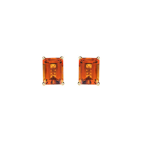 Earrings with Citrine Winslow