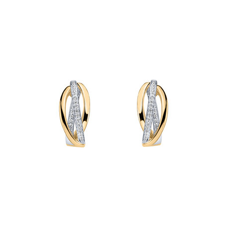 Diamond earrings Amazing Passion