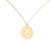 Diamond necklace Capricorn6