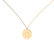 Diamond necklace Diamond Coins D2