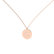 Diamond necklace Diamond Coins G2