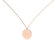 Diamond necklace Diamond Coins H2