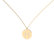 Diamond necklace Diamond Coins H2