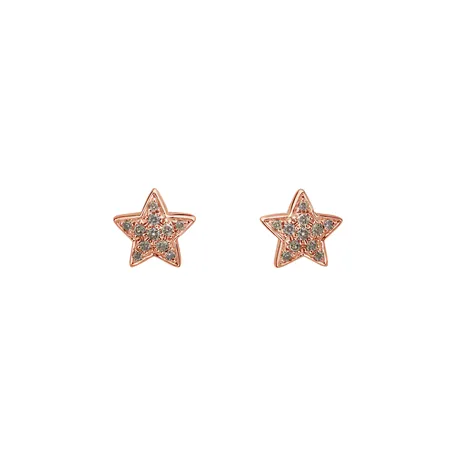 Earrings with brown diamonds Amazing Night