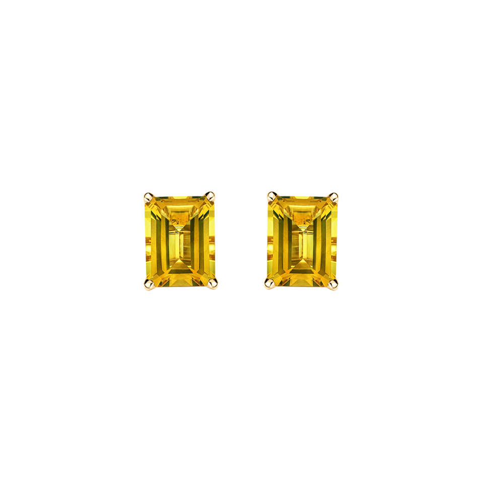 Earrings with Citrine Winslow