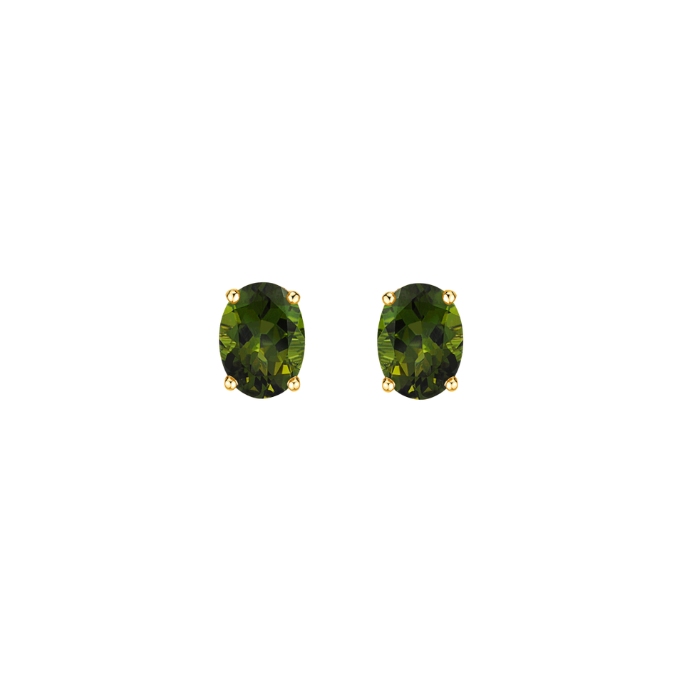 Earrings with Tourmaline Mystic Abyss
