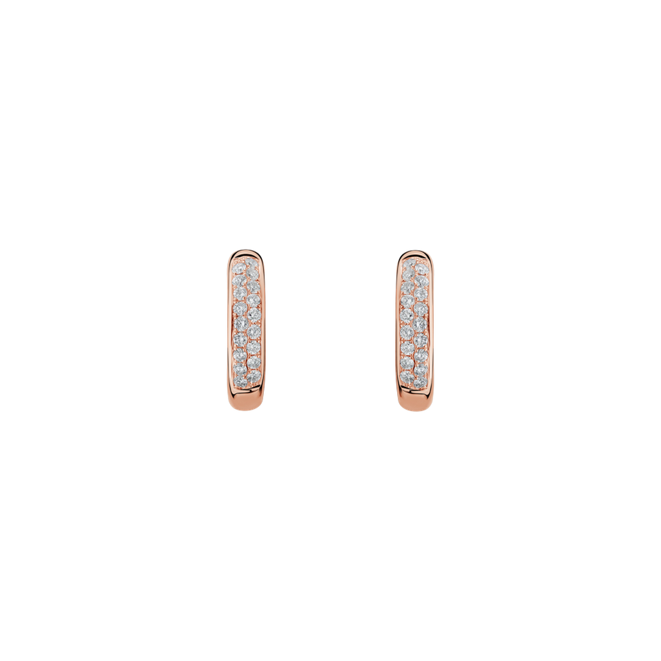 Diamond earrings Ziegler