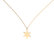 Diamond necklace Star2