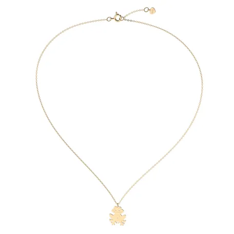 Diamond necklace Frog