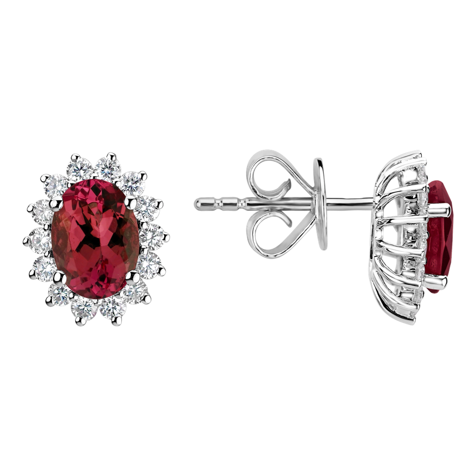 Diamond earrings with Ruby Princess Sparkle