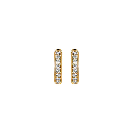 Diamond earrings Shiny Wonder