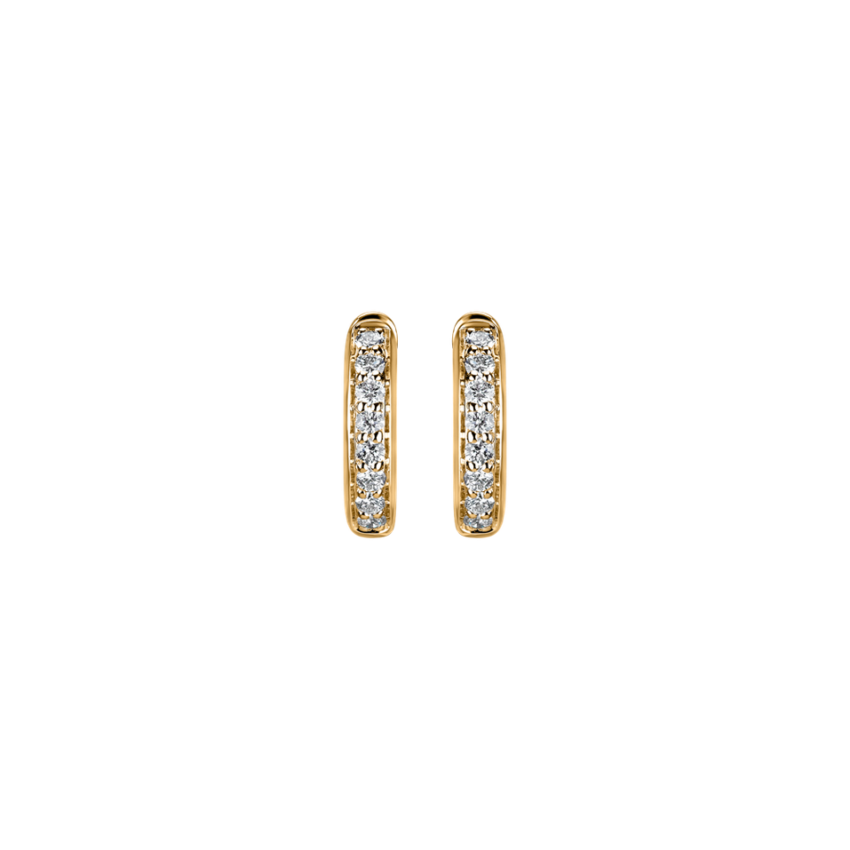 Diamond earrings Shiny Wonder