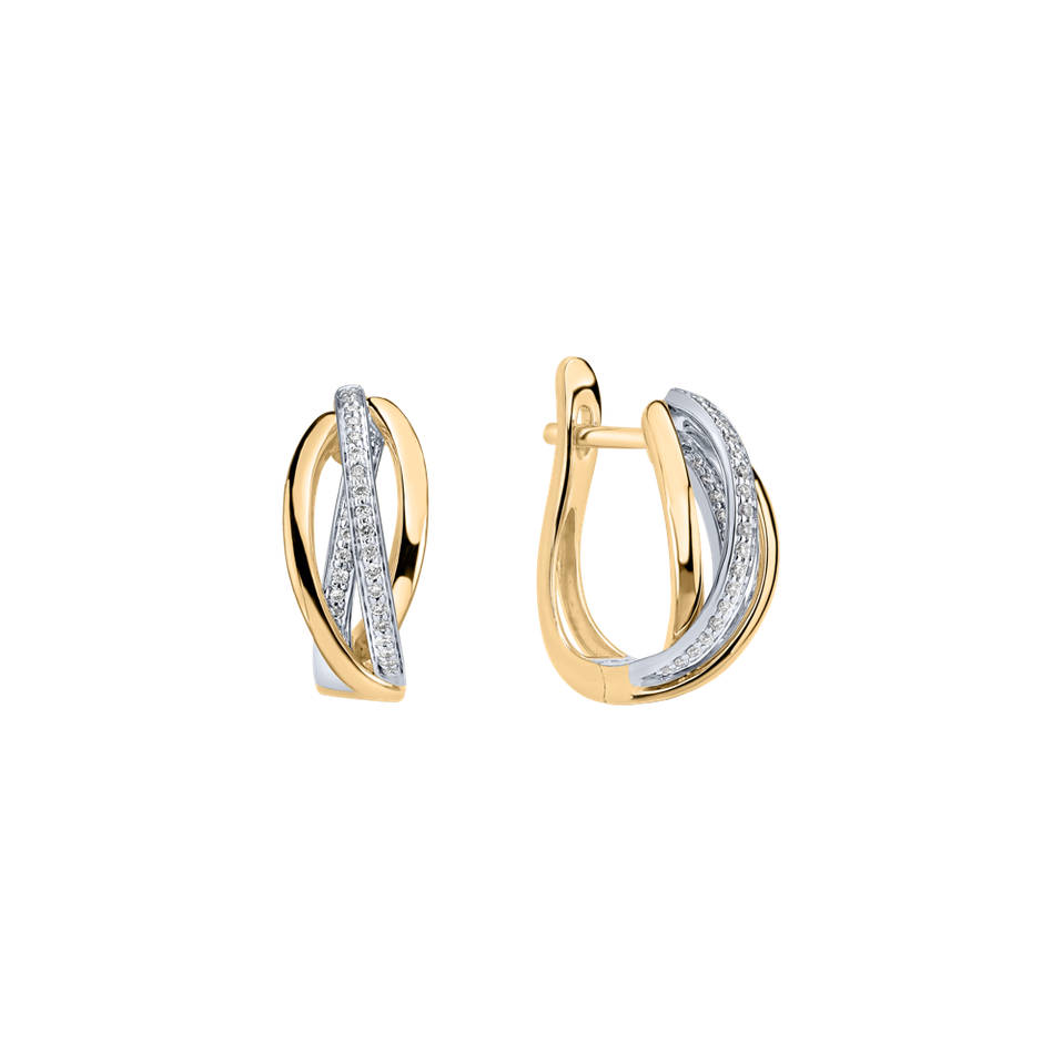 Diamond earrings Amazing Passion