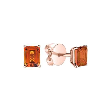 Earrings with Citrine Winslow