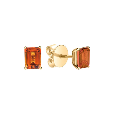 Earrings with Citrine Winslow