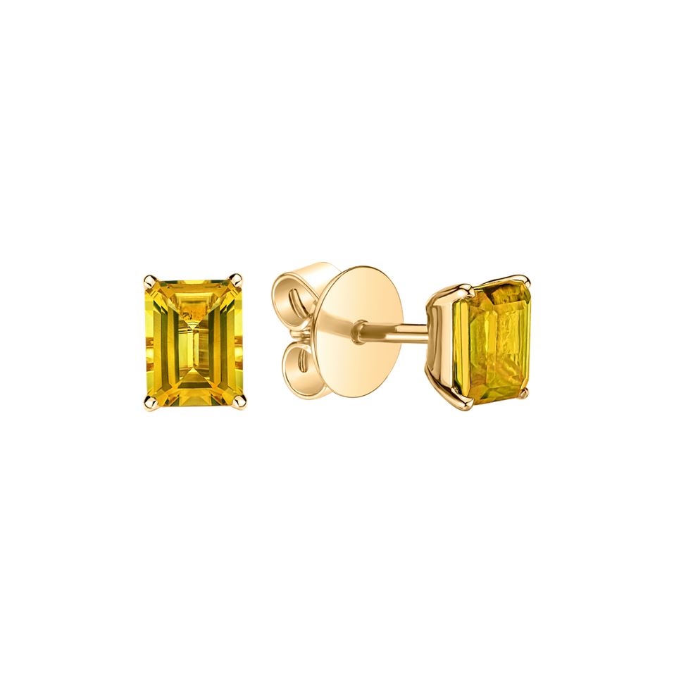 Earrings with Citrine Winslow
