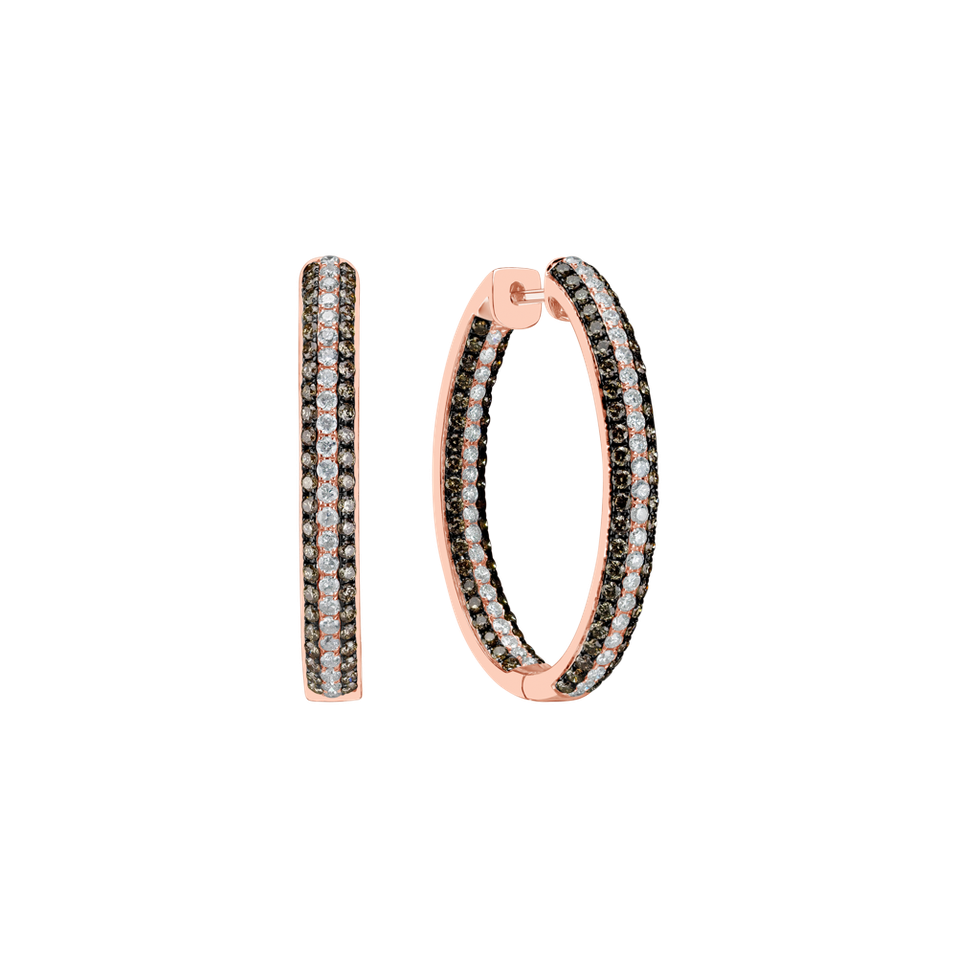 Earrings with brown and white diamonds Delicate Secret