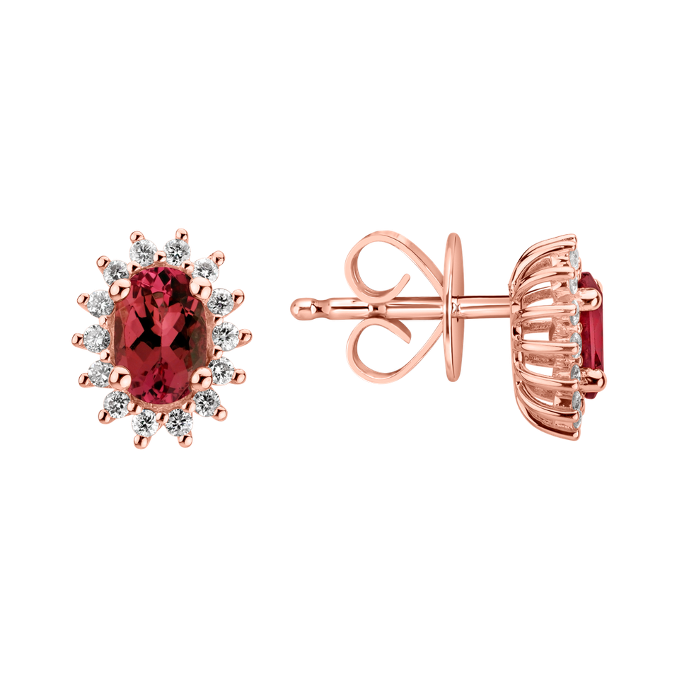 Diamond earrings with Ruby Princess Sparkle