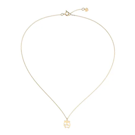 Diamond necklace Lovely Owl